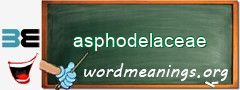 WordMeaning blackboard for asphodelaceae